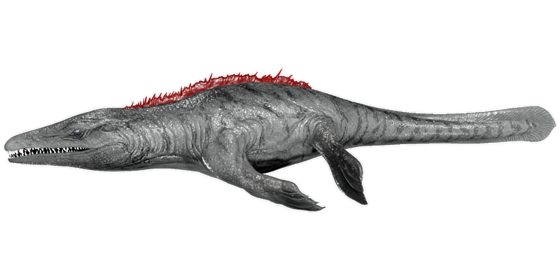File:Mosasaurus PaintRegion2.png