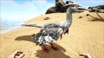 Microraptor PaintRegion2.jpg