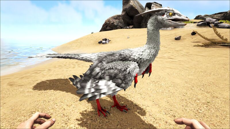 File:Microraptor PaintRegion2.jpg