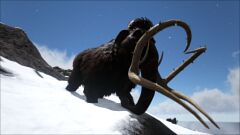 Mammoth in the Mountains.jpg