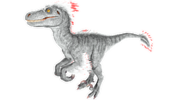 Alpha Raptor PaintRegion1.png