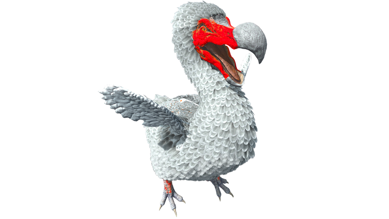 File:Dodo PaintRegion1 ASA.png