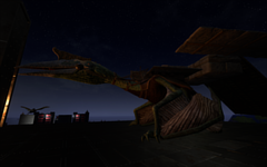 Quetzal with platform at Night