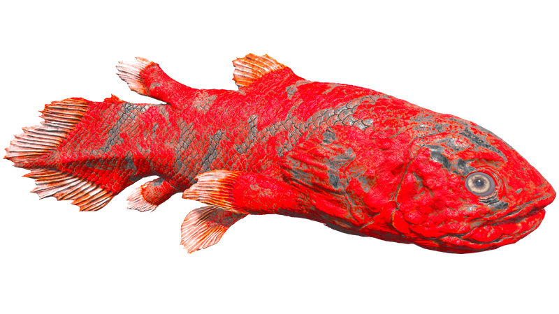 File:Coelacanth PaintRegion0 ASA.png