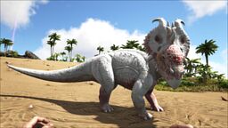 Pachyrhinosaurus PaintRegion5.jpg