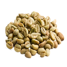 Coffee Seed (Primitive Plus).png