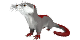 Otter PaintRegion4.jpg