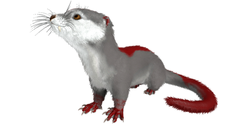 File:Otter PaintRegion4.png