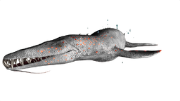 Liopleurodon PaintRegion4.png