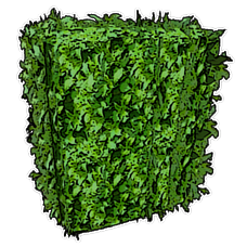 Box Hedge (Mobile).png