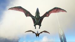An underside of Pteranodons flying