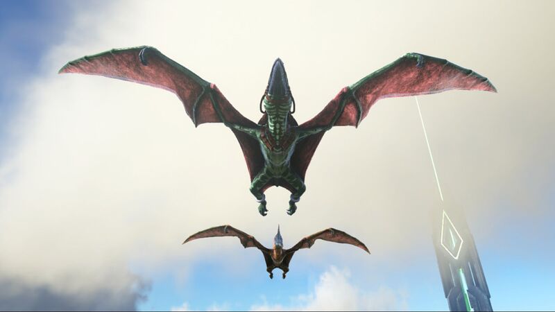 File:Pteranodon underside.jpg