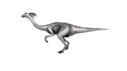 Gallimimus PaintRegion3.png
