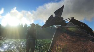 Tamed Pteranodon.jpg
