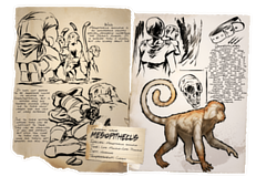 Dossier Mesopithecus.png