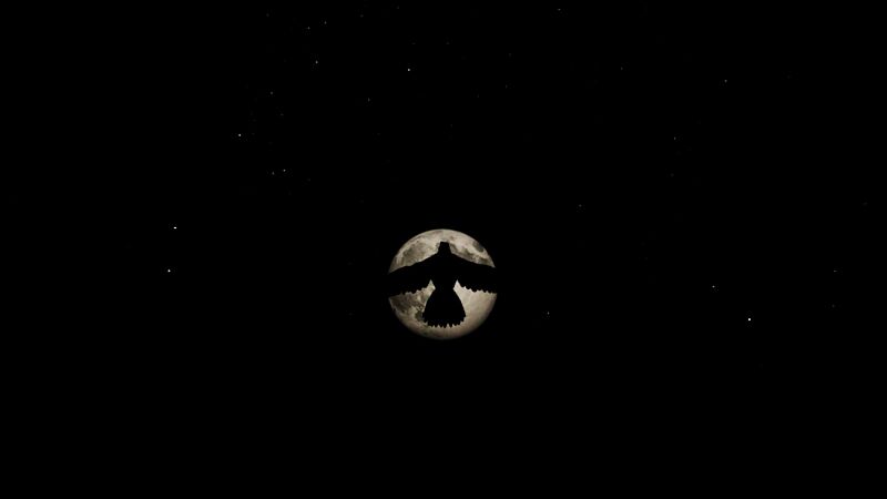 File:Argentavis Eclipsing the Moon.jpg