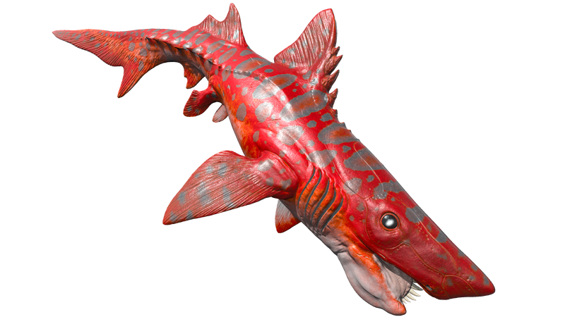 File:Mod AA Helicoprion PaintRegion0 ASA.png