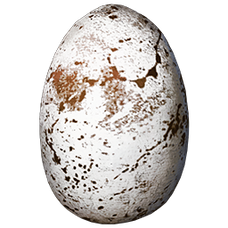Fjordhawk Egg.png