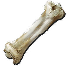 Dinosaur Bone.png