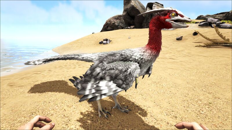 File:Microraptor PaintRegion4.jpg