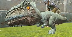 Chibi-Giganotosaurus in game.jpg
