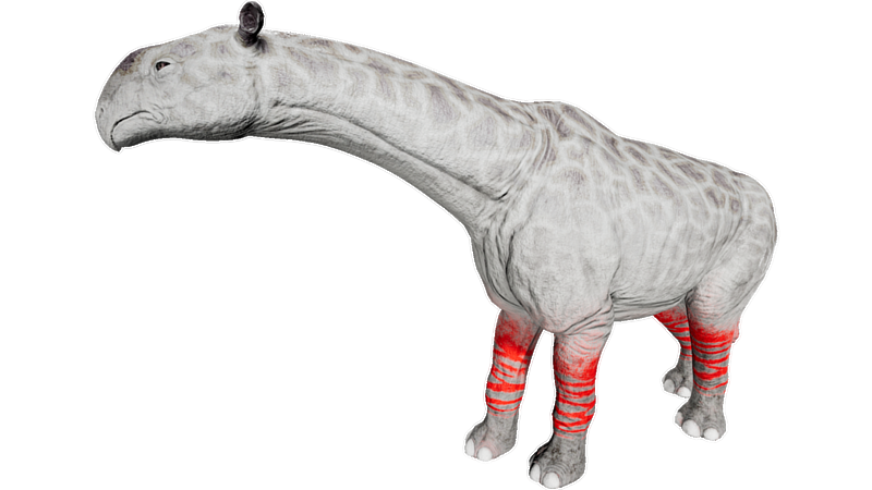 File:X-Paraceratherium PaintRegion5.png