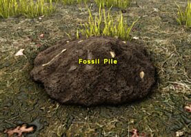 Fossil Pile.jpg