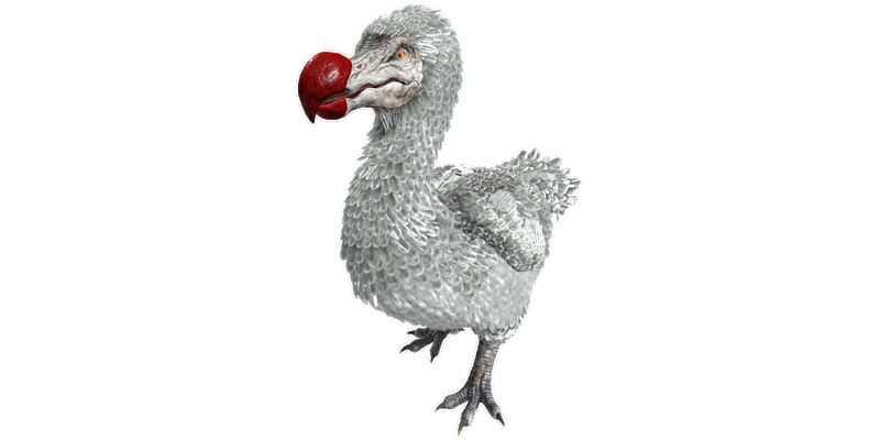 File:Dodo PaintRegion2.png