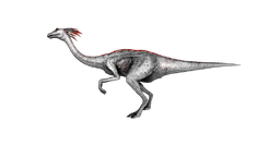 Gallimimus PaintRegion4.png
