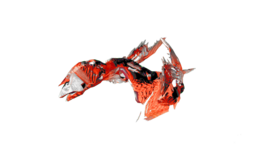 Corrupted Dimorphodon PaintRegion0.jpg