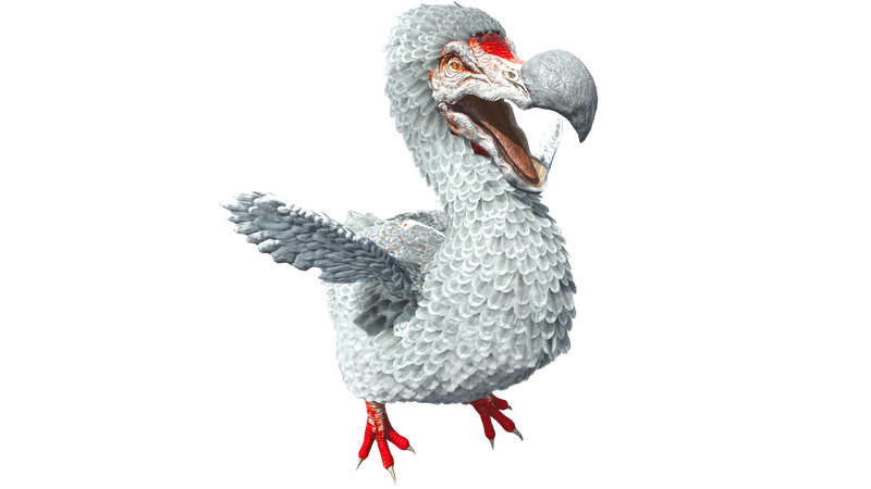File:Dodo PaintRegion3 ASA.png
