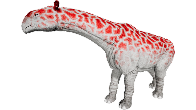 File:X-Paraceratherium PaintRegion4.png