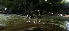 Kaprosuchus Entering Water