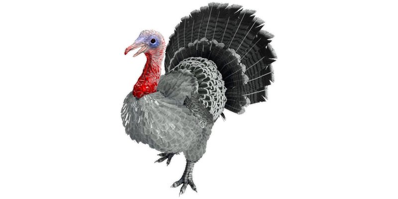File:Super Turkey PaintRegion4.png