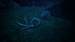 Ammonite in game.jpg