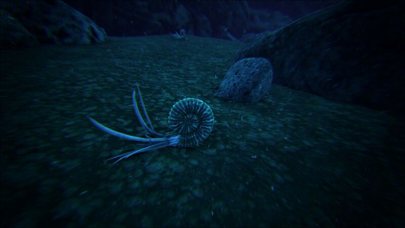 File:Ammonite in game.jpg