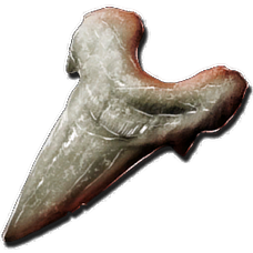 Golden Striped Megalodon Tooth.png