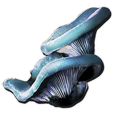 Aquatic Mushroom.png