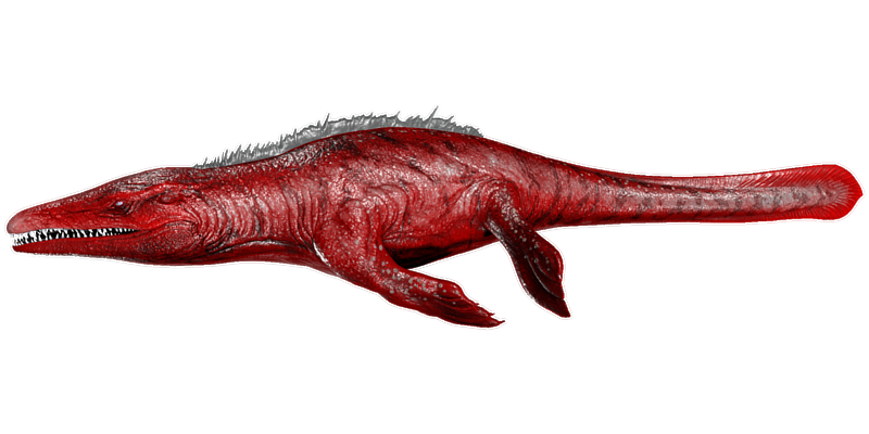 File:Mosasaurus PaintRegion0.png
