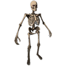 Skeleton Costume Skin.png