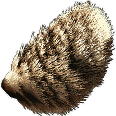 Bunny Tail Skin.png