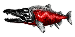 X-Sabertooth Salmon PaintRegion4.jpg