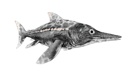 X-Ichthyosaurus PaintRegion2.jpg