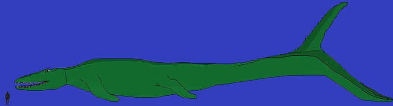 File:ARK Modded Creature Tylosaurus Profile Drawing.png
