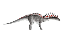 Amargasaurus PaintRegion1.png