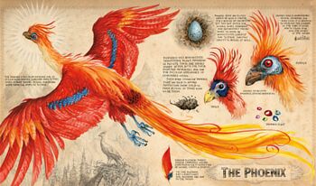Phoenix by Jim Kay.jpg