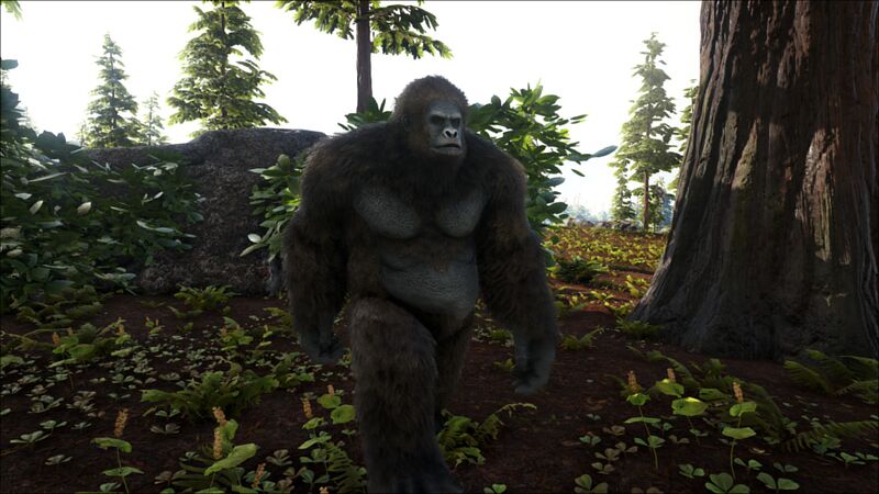 File:Gigantopithecus in the Redwood Forest.jpg