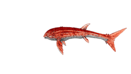 Leedsichthys PaintRegion4.png