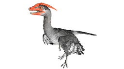 Microraptor PaintRegion1.png