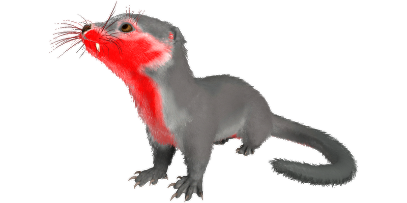 File:Otter PaintRegion5.png
